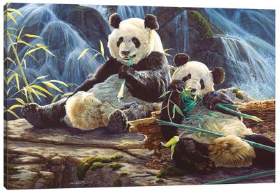 Panda III Canvas Art Print