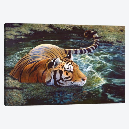 Tiger V Canvas Print #MGU22} by Jan Martin Mcguire Canvas Wall Art