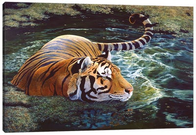 Tiger V Canvas Art Print