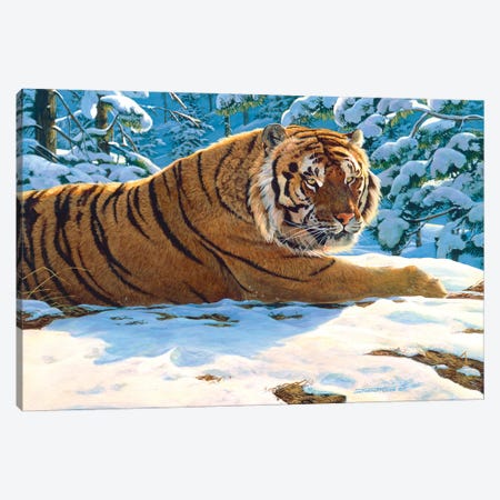 Tiger Snow Canvas Print #MGU23} by Jan Martin Mcguire Canvas Art