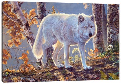 Wolf III Canvas Art Print