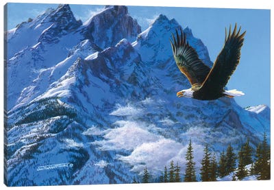 Eagle Mountains IV Canvas Art Print - Art for Dad
