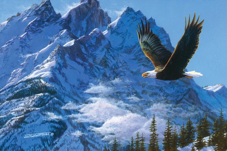 Eagle Mountains IV by Jan Martin Mcguire wall art