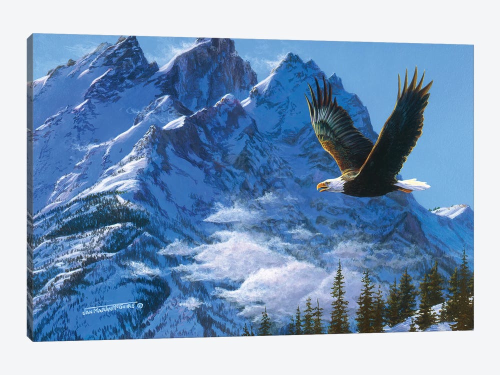 Eagle Mountains IV by Jan Martin Mcguire 1-piece Canvas Art Print