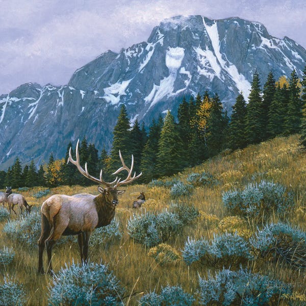 Elk: Elk XIV by Jan Martin Mcguire
