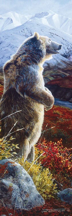 Grizzly VIII by Jan Martin Mcguire wall art