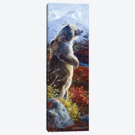Grizzly VIII Canvas Print #MGU8} by Jan Martin Mcguire Canvas Print