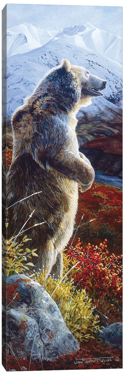 Grizzly VIII Canvas Art Print
