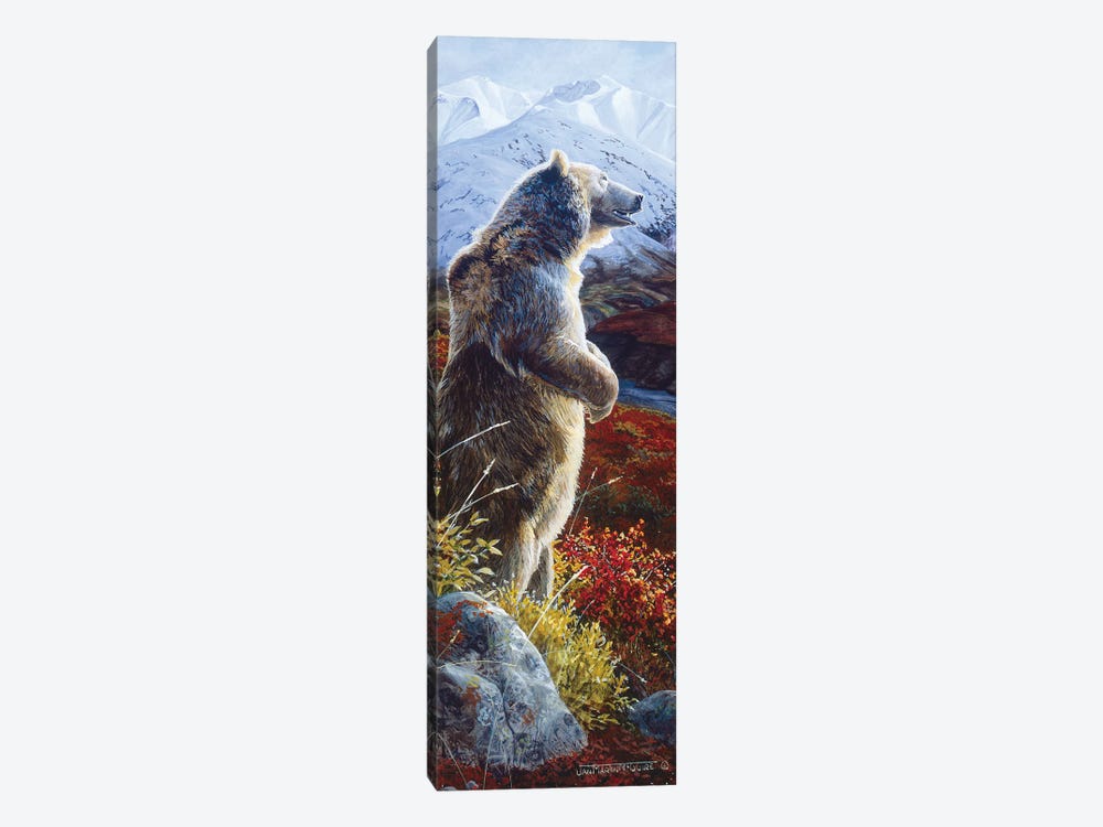 Grizzly VIII by Jan Martin Mcguire 1-piece Canvas Artwork