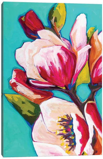 Floar - My Sweet Magnolias Canvas Art Print - Magnolia Art
