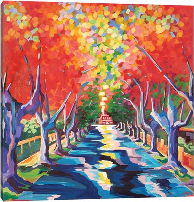 Gurwood Street In Autumn Canvas Art Print - New South Wales Art