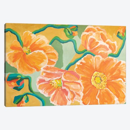 Flora - Poppies Canvas Print #MGX24} by Maggie Deall Canvas Art