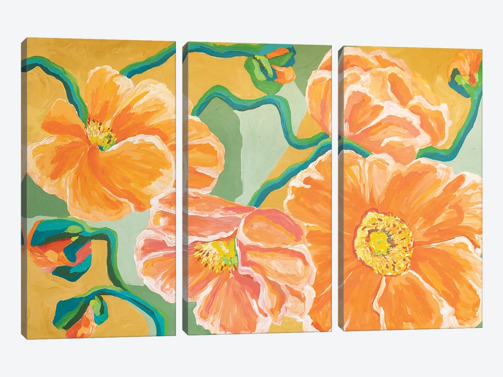 Flora - Poppies by Maggie Deall 3-piece Canvas Art Print