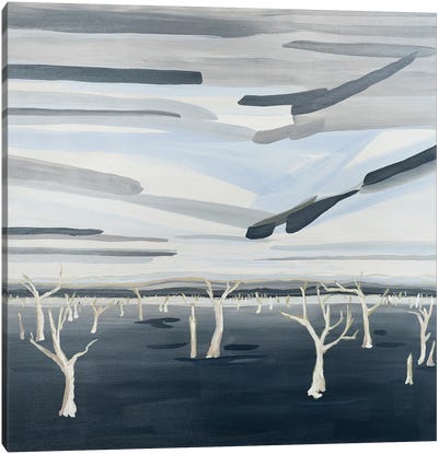Ghost Trees Of Mulwala Canvas Art Print - New South Wales Art