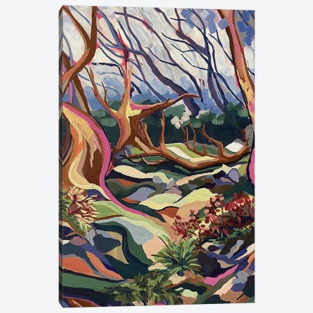 Snowgum Valley Canvas Print #MGX62} by Maggie Deall Canvas Print