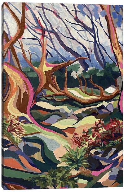 Snowgum Valley Canvas Art Print - Maggie Deall