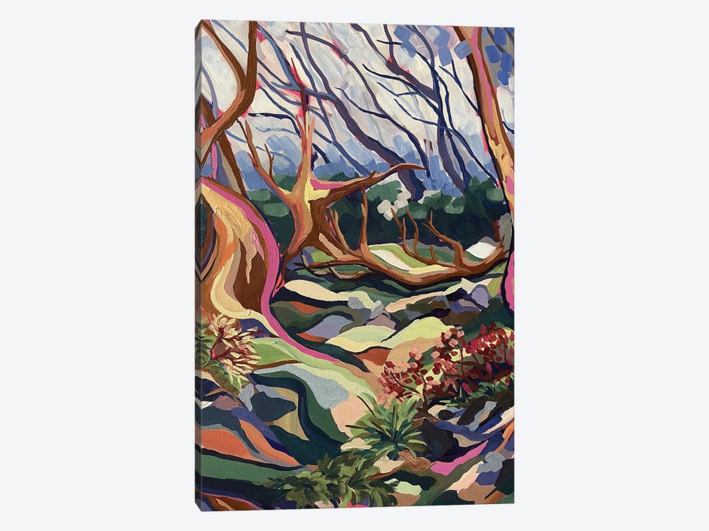 Snowgum Valley by Maggie Deall 1-piece Canvas Art Print