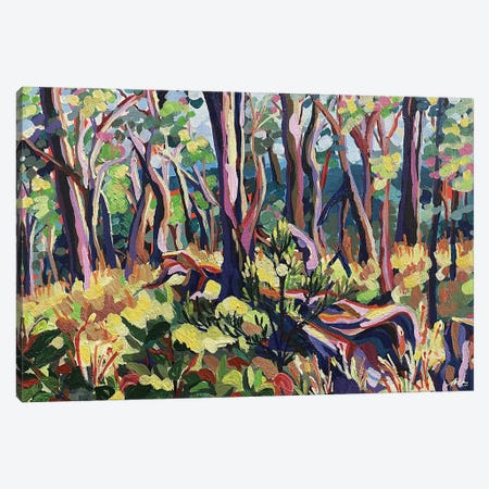 Golden Soil Canvas Print #MGX63} by Maggie Deall Canvas Art Print