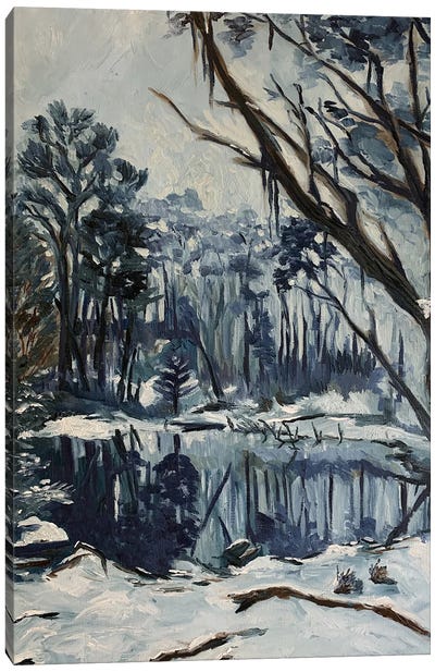 The Pond Canvas Art Print - Maggie Deall