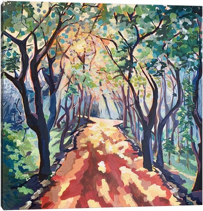 A Quiet Walk Canvas Art Print - Maggie Deall