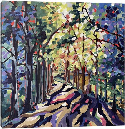 Lake Albert Walk Canvas Art Print - Enchanted Forests