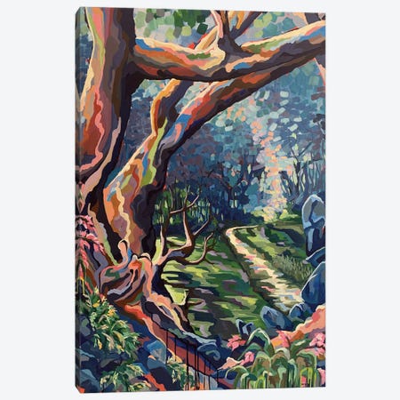 The Secret Valley Canvas Print #MGX77} by Maggie Deall Art Print