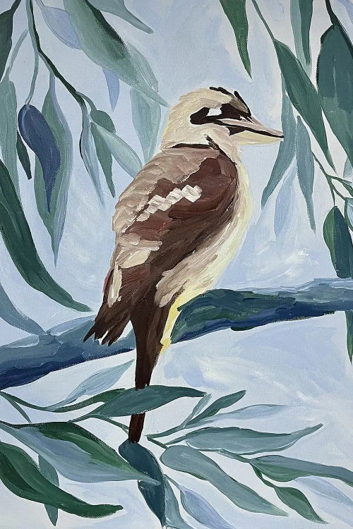 The Kookaburra