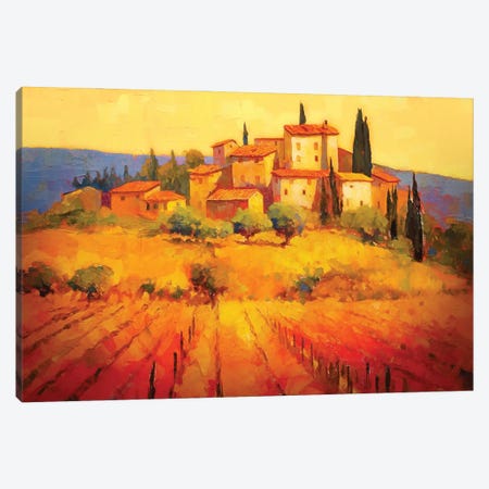Tuscany VIII Canvas Print #MGY115} by Conor McGuire Canvas Art Print