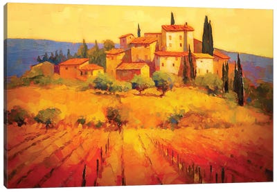 Tuscany VIII Canvas Art Print - Tuscany Art