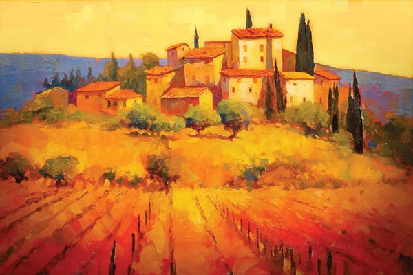 Tuscany: Tuscany VIII by Conor McGuire