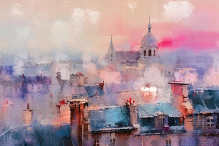 Paris Roof Tops VIII by Conor McGuire wall art