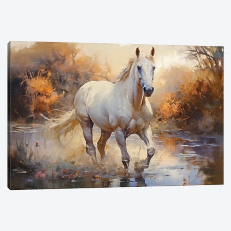 Arabian Horse II Canvas Print #MGY158} by Conor McGuire Canvas Art