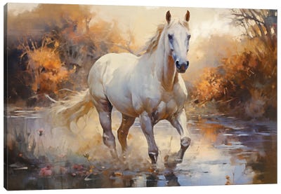 Arabian Horse II Canvas Art Print - Art That’s Trending