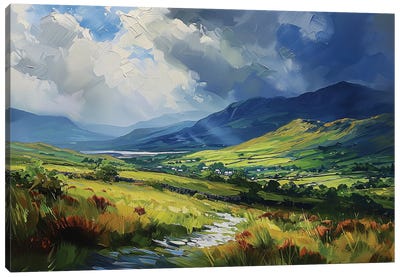 Connemara Fileds VI Canvas Art Print - Field, Grassland & Meadow Art