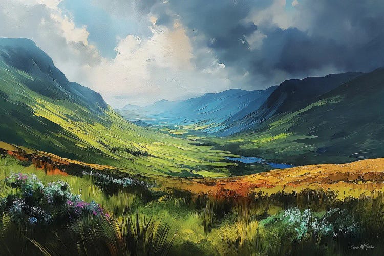 Connemara Fields X by Conor McGuire wall art