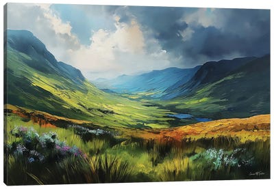 Connemara Fields X Canvas Art Print - Field, Grassland & Meadow Art
