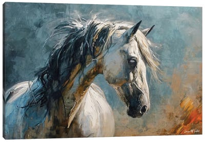 Arabian Horse Head I Canvas Art Print - Conor McGuire