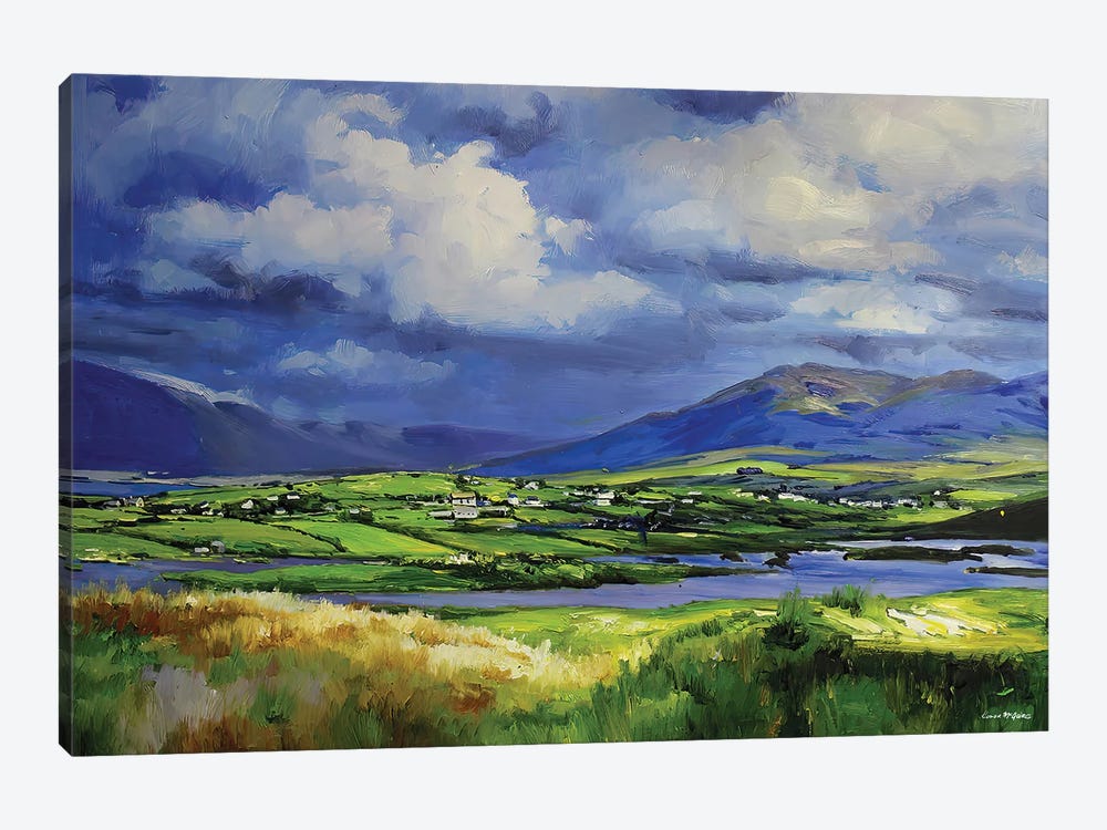 Connemara Fields by Conor McGuire 1-piece Canvas Art