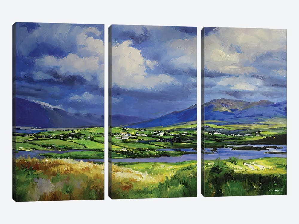 Connemara Fields by Conor McGuire 3-piece Canvas Wall Art