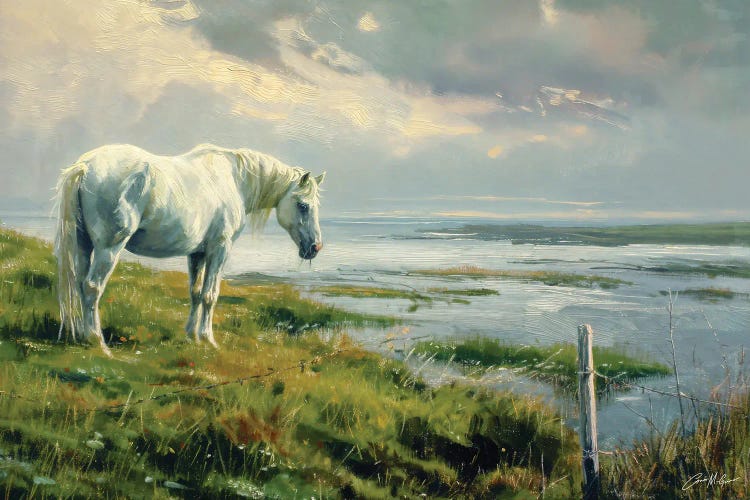 White Horse On Atlantic Shore by Conor McGuire wall art