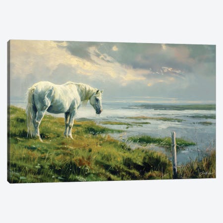 White Horse On Atlantic Shore Canvas Print #MGY219} by Conor McGuire Canvas Print