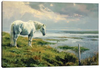 White Horse On Atlantic Shore Canvas Art Print - Conor McGuire