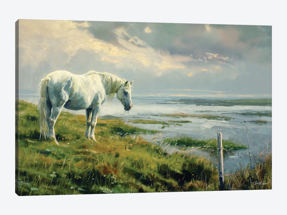 White Horse On Atlantic Shore by Conor McGuire 1-piece Canvas Print