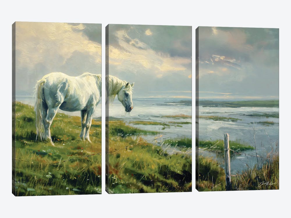 White Horse On Atlantic Shore by Conor McGuire 3-piece Canvas Art Print