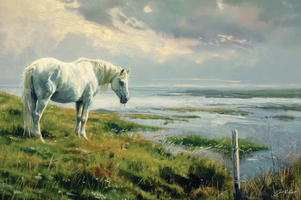 Farm Animals: White Horse On Atlantic Shore by Conor McGuire