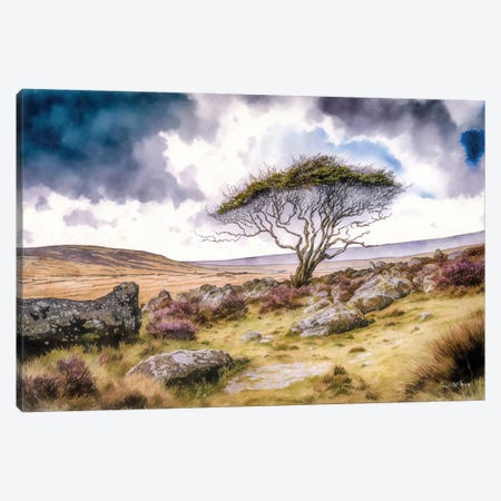 Gnarled Tree In Winter, County Mayo Canvas Print #MGY27} by Conor McGuire Art Print