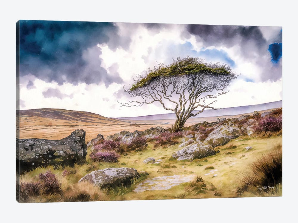 Gnarled Tree In Winter, County Mayo by Conor McGuire 1-piece Art Print