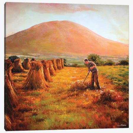 In Nephin's Shadow, County Mayo Canvas Print #MGY28} by Conor McGuire Canvas Wall Art