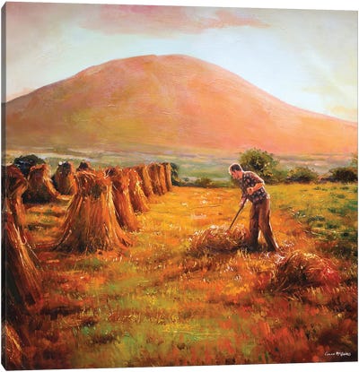 In Nephin's Shadow, County Mayo Canvas Art Print - Farmer Art