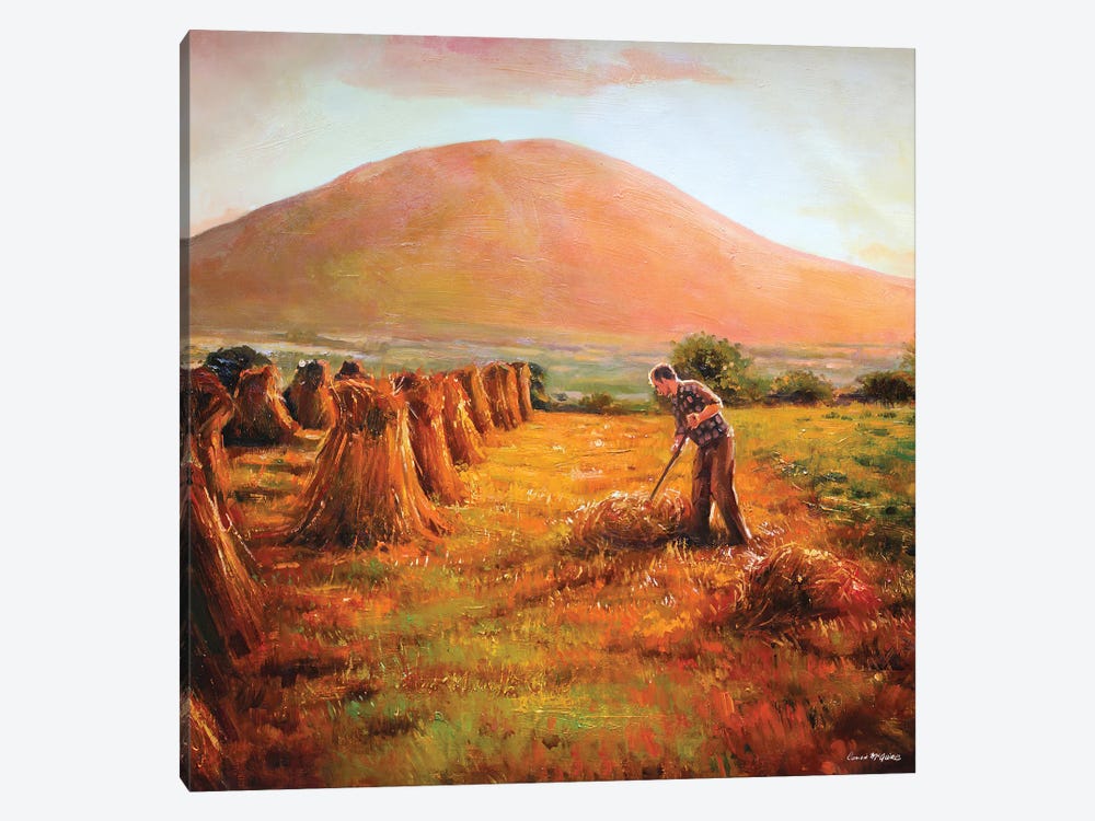 In Nephin's Shadow, County Mayo by Conor McGuire 1-piece Canvas Artwork